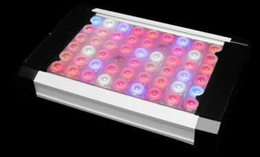 Orpheus X1 150W LED Grow Lights Bar Alluminum Material 150w Actual Power CE Marked
